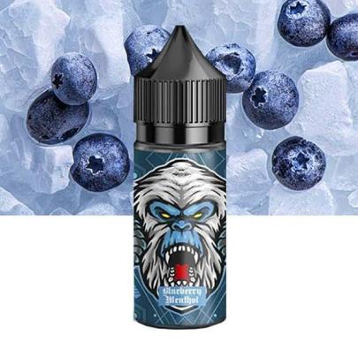 Жидкость FLAVOR LAB FL 350 Blueberry Menthol (Черника Ментол) 30 мл 50 мг
